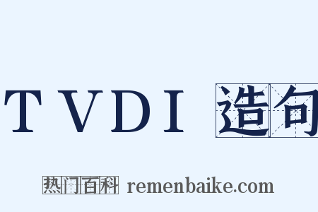 TVDI造句是什么意思的图片